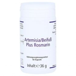 Артемизинин 150 мг капс. 60шт в Тамбове и области фото