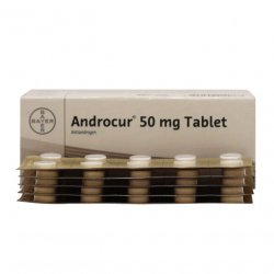 Андрокур (Ципротерон) таблетки 50мг №50 в Тамбове и области фото