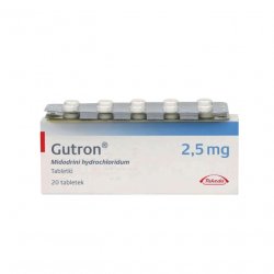 Гутрон таблетки 2,5 мг. №20 в Тамбове и области фото
